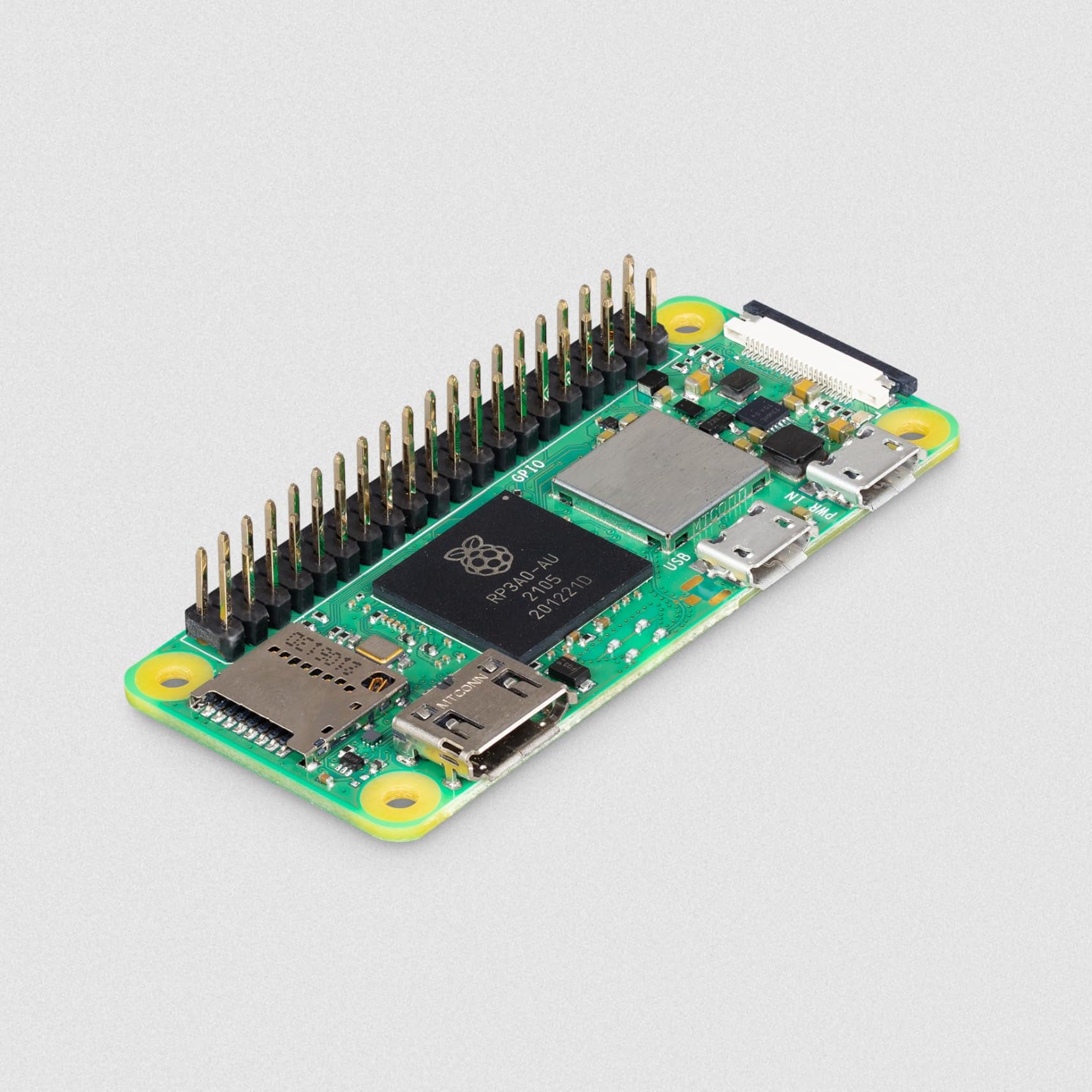 Gilli Bees