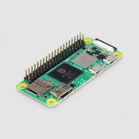 Gilli Bees